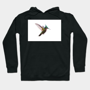 Antillean crested hummingbird Hoodie